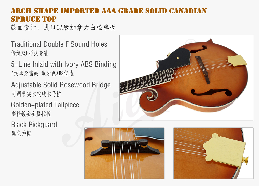 aiersi brand F style solid top mandolin for sale (2)
