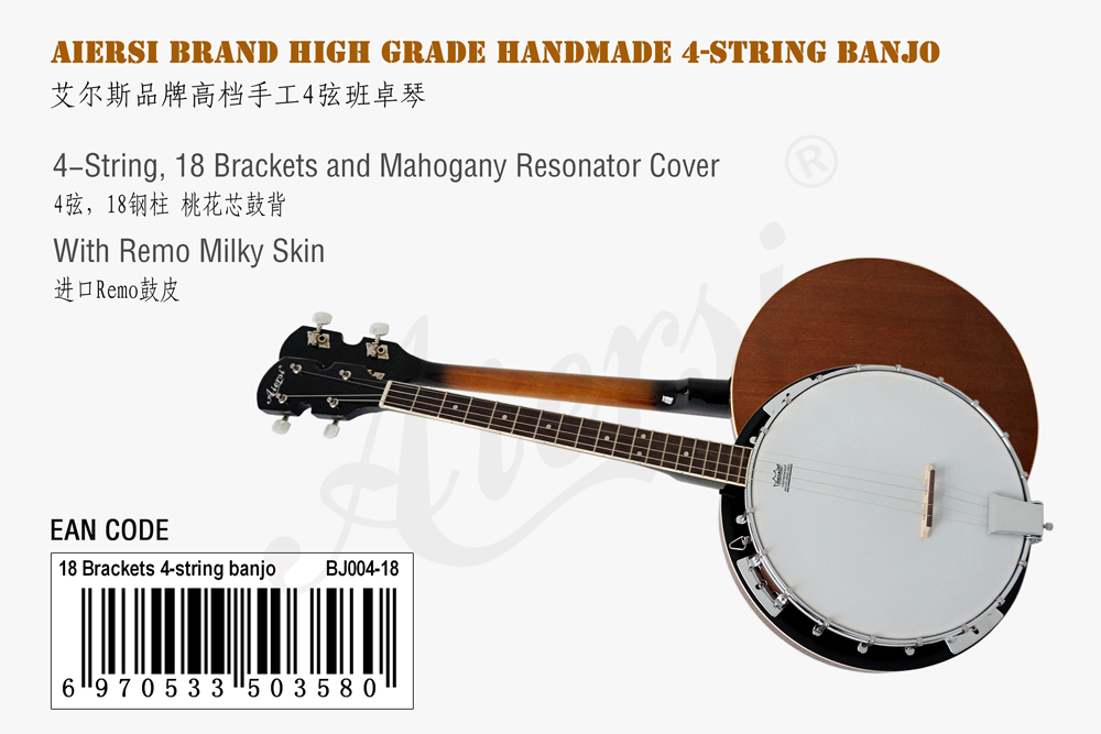 aiersi brand 4-string banjo for sale (1)