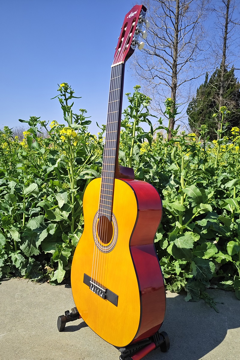 orange colour classical guitar SC040 (1)