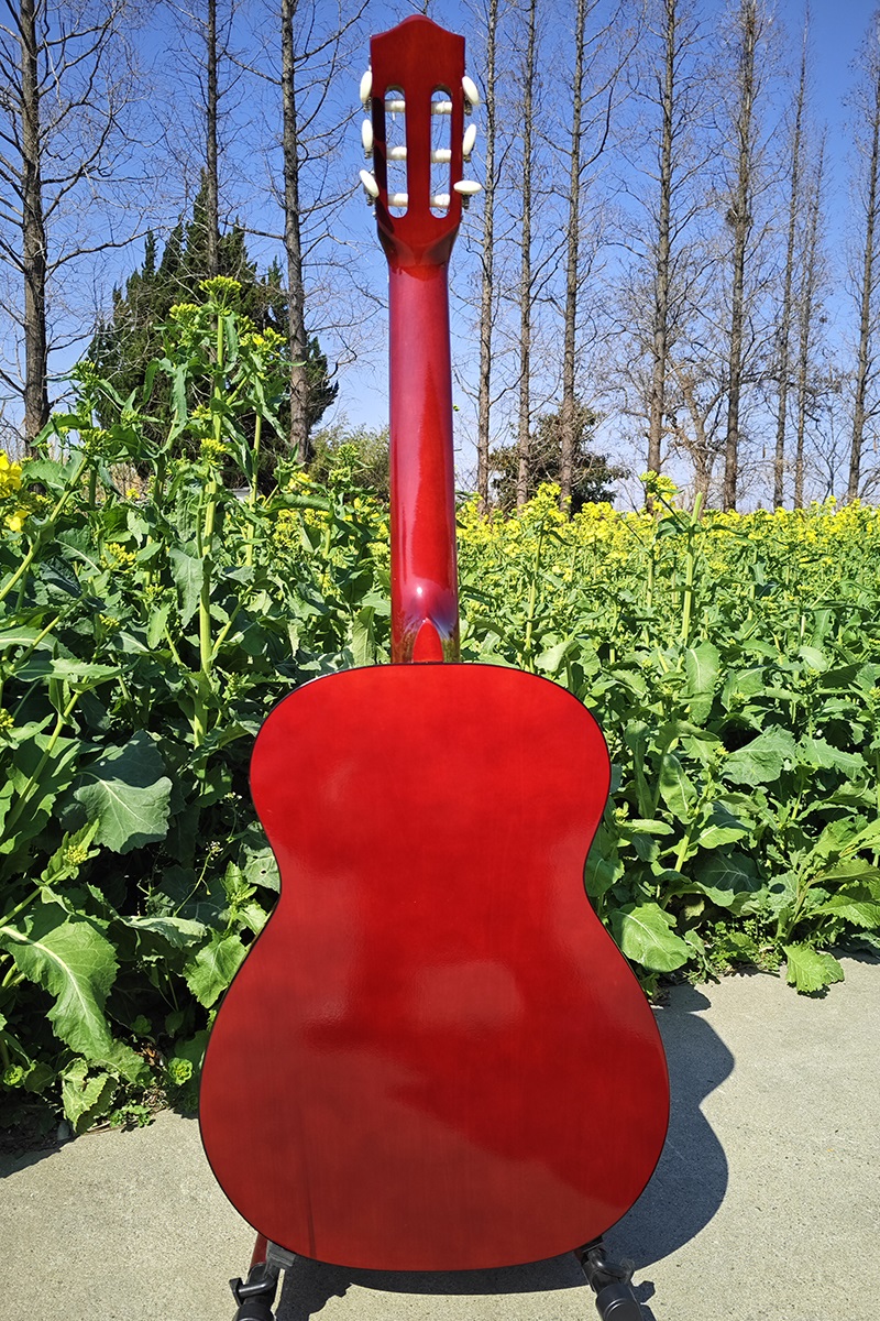 orange colour classical guitar SC040 (11)