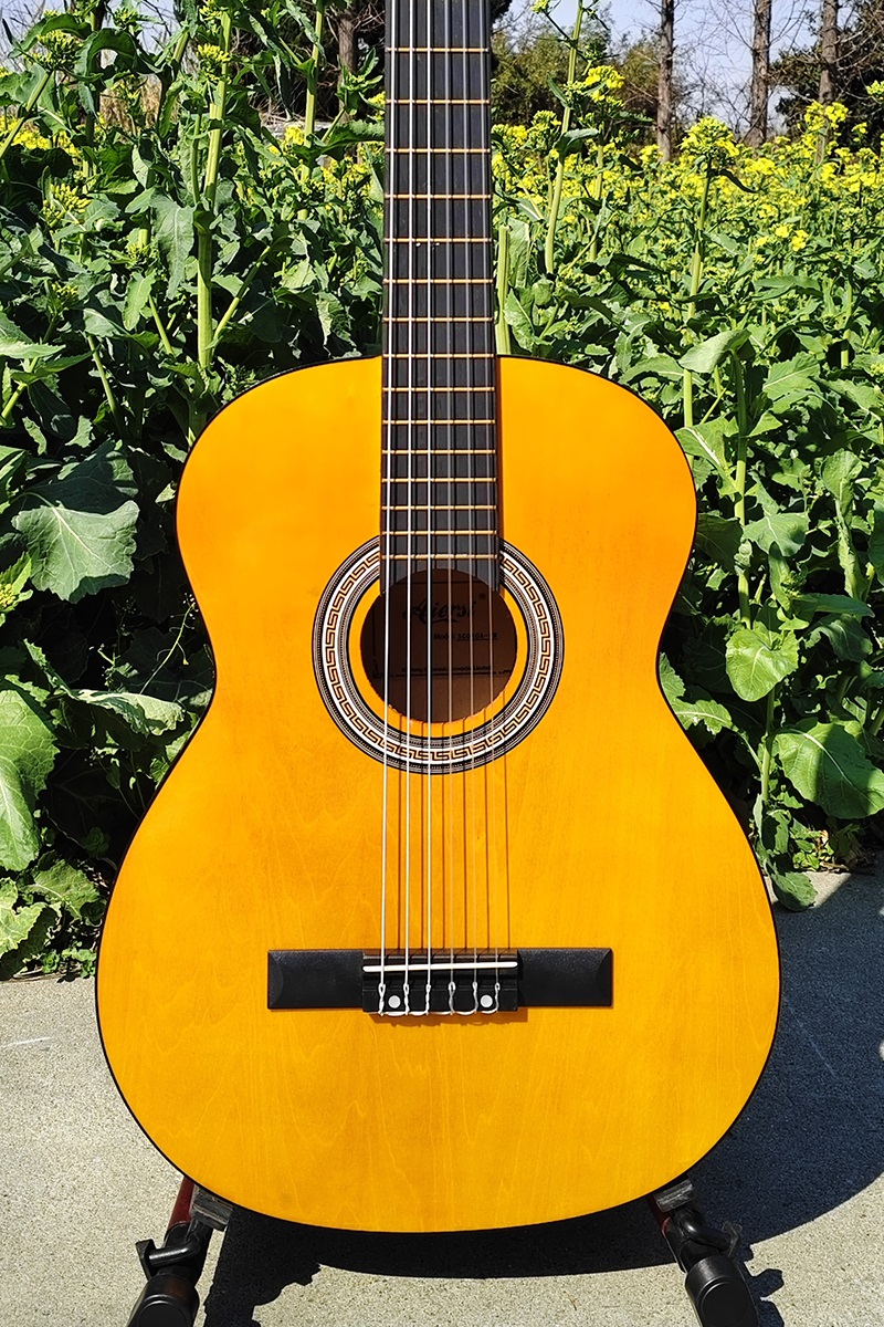 orange colour classical guitar SC040 (4)