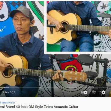 Sound Demo Aiersi Solid Spruce Zebra Acoustic Guitar SG02SZC-40