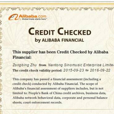 Aiersi Guitar Financial Audited Report by Alibaba