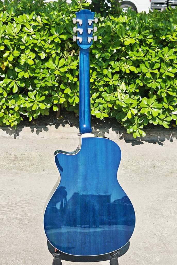 blueburst acoustic guitar (9)