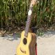 Solid Spruce Top Zebrawood Concert Ukulele