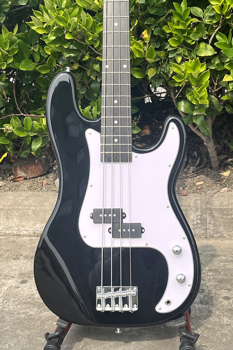 aiersi electric bass (2)