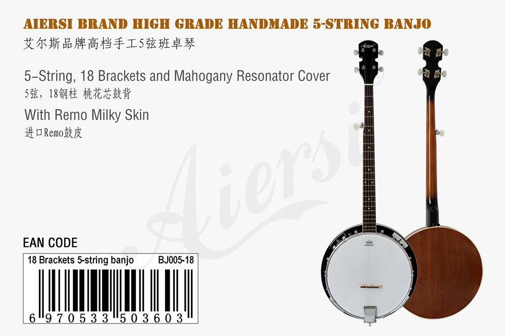 aiersi brand 5-string banjo for sale (2)