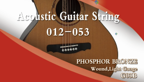 Aiersi Brand 012-053 Light Phosphor Bronze Acoustic Guitar String Model G03B