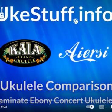 Buyer Review Ukulele Comparison for Aiersi Vs Kala Java Ukulele