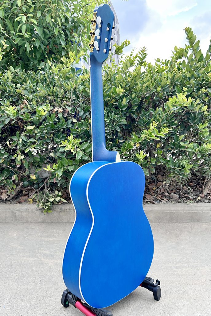 aiersi classical guitar 1