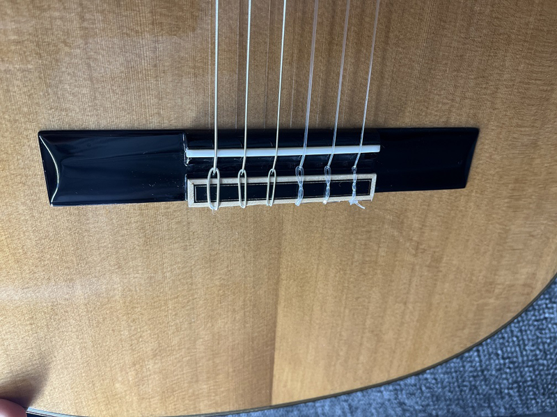 classical guitar (12)