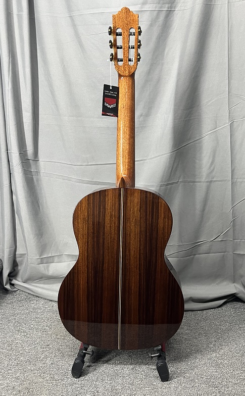 classical guitar (2)