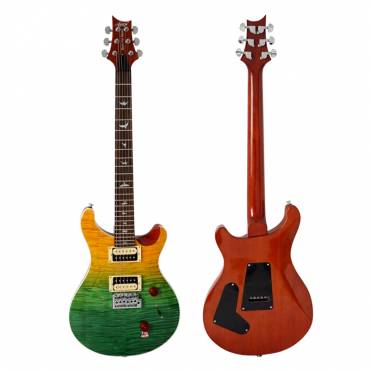 PRS Style Electric Guitar