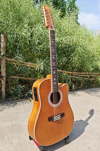 Boult Brand Matt Mahogany 41 Inch Cutaway 12 String Electric Acoustic Guitar