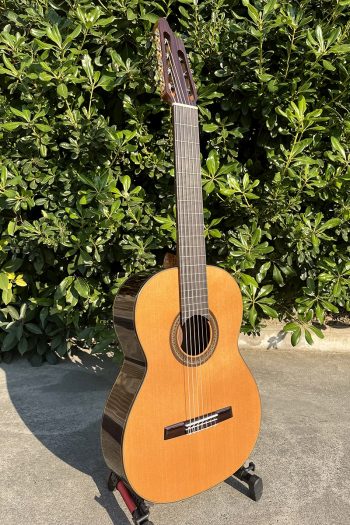 7-String Cedar Top All Solid Classical Guitar