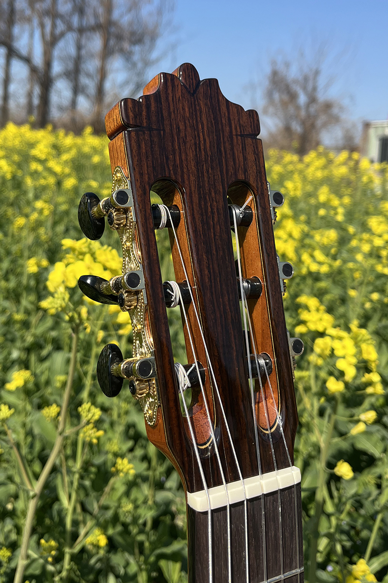 Aiersi vintage classical guitar (1)