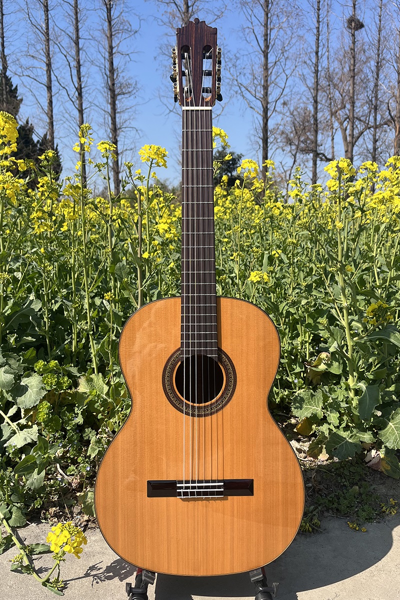 Aiersi vintage classical guitar (2)