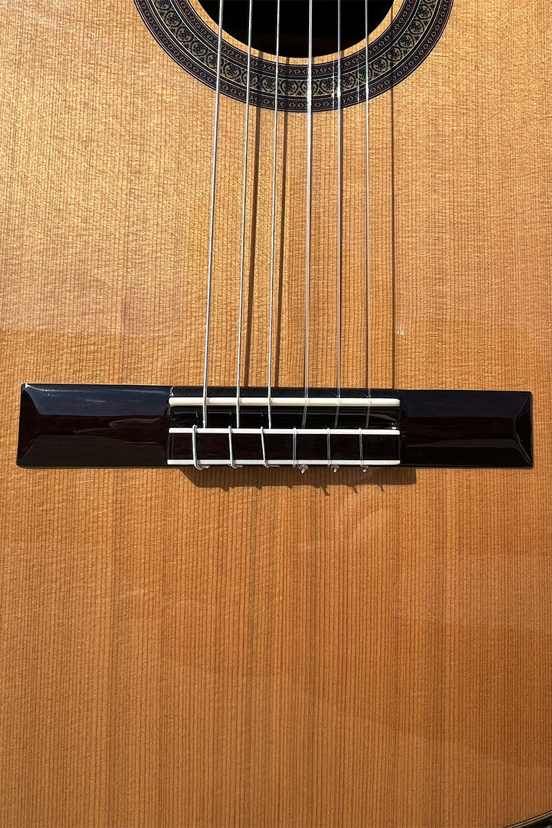 Aiersi vintage classical guitar (6)