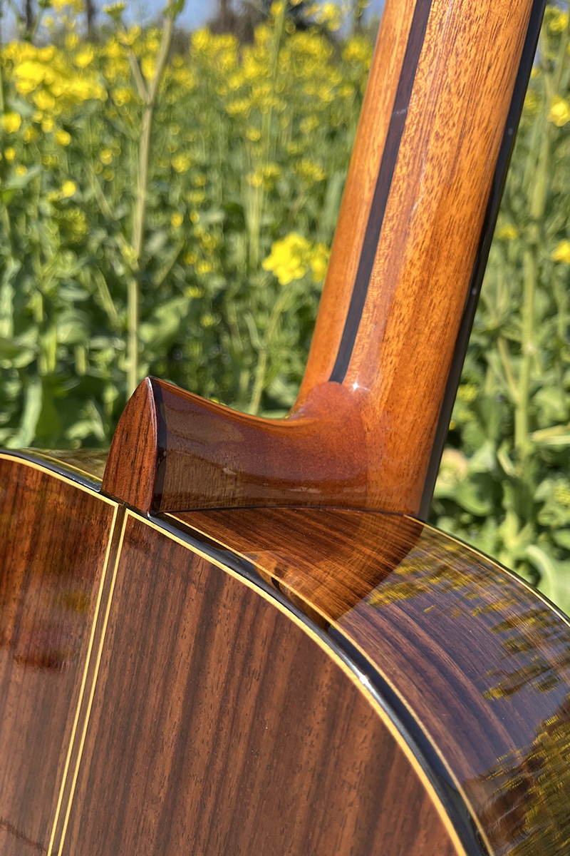 Aiersi vintage classical guitar (8)
