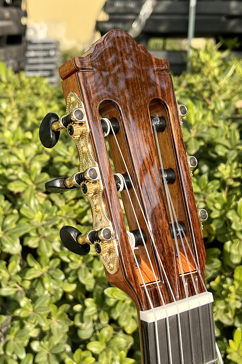 cutaway classical guitar (1)