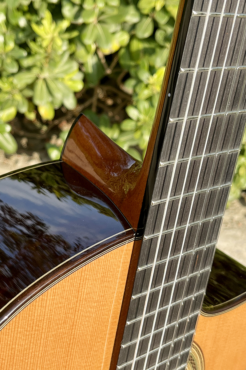 cutaway classical guitar (2)