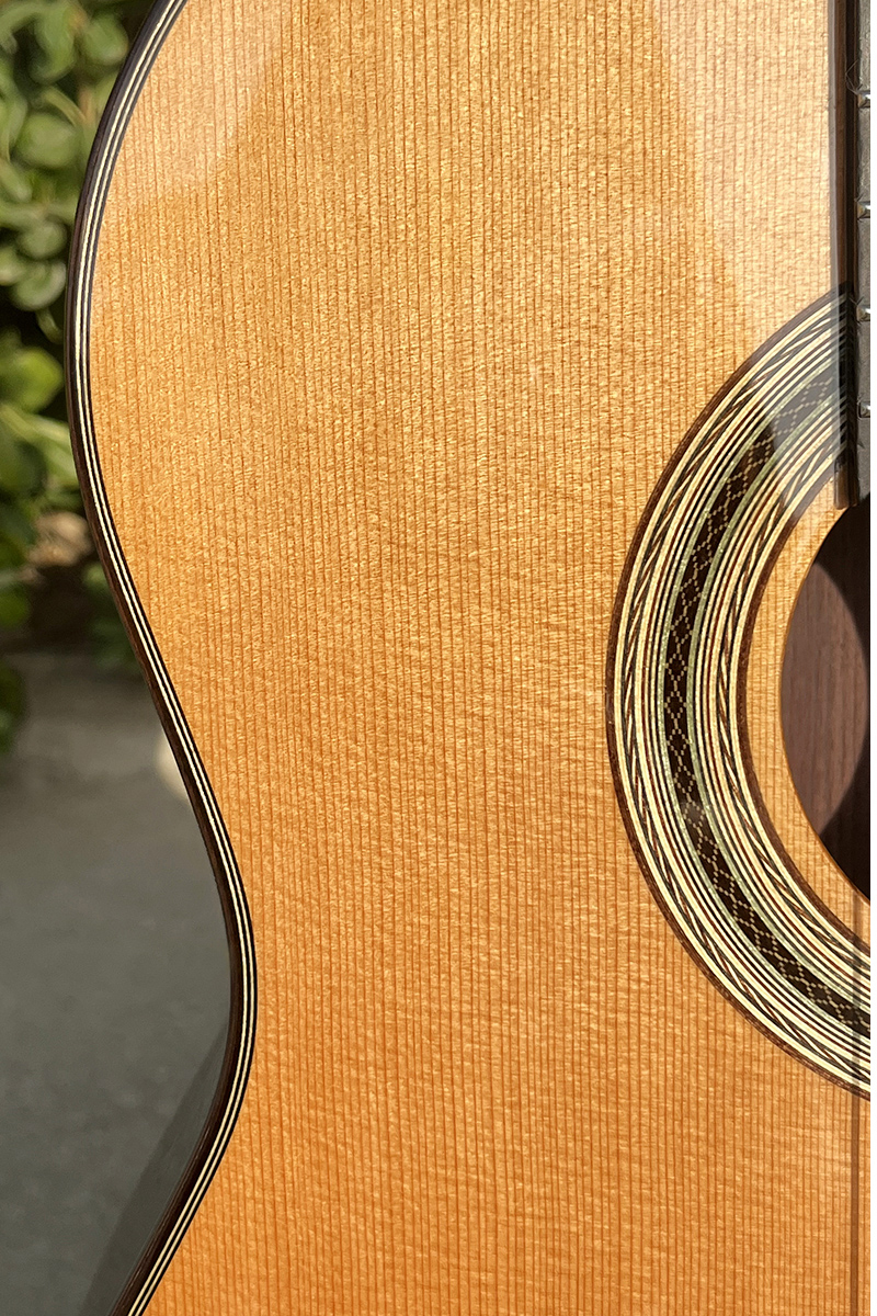 cutaway classical guitar (3)