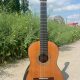 Glossy Cedar Top Smallman Classic Guitar