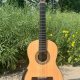 Glossy Spruce Top Smallman Classic Guitar