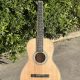 Parlor Acoustic Guitar
