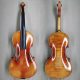 Dry +8 Years European Materials,Master Guan’s Violin 900E
