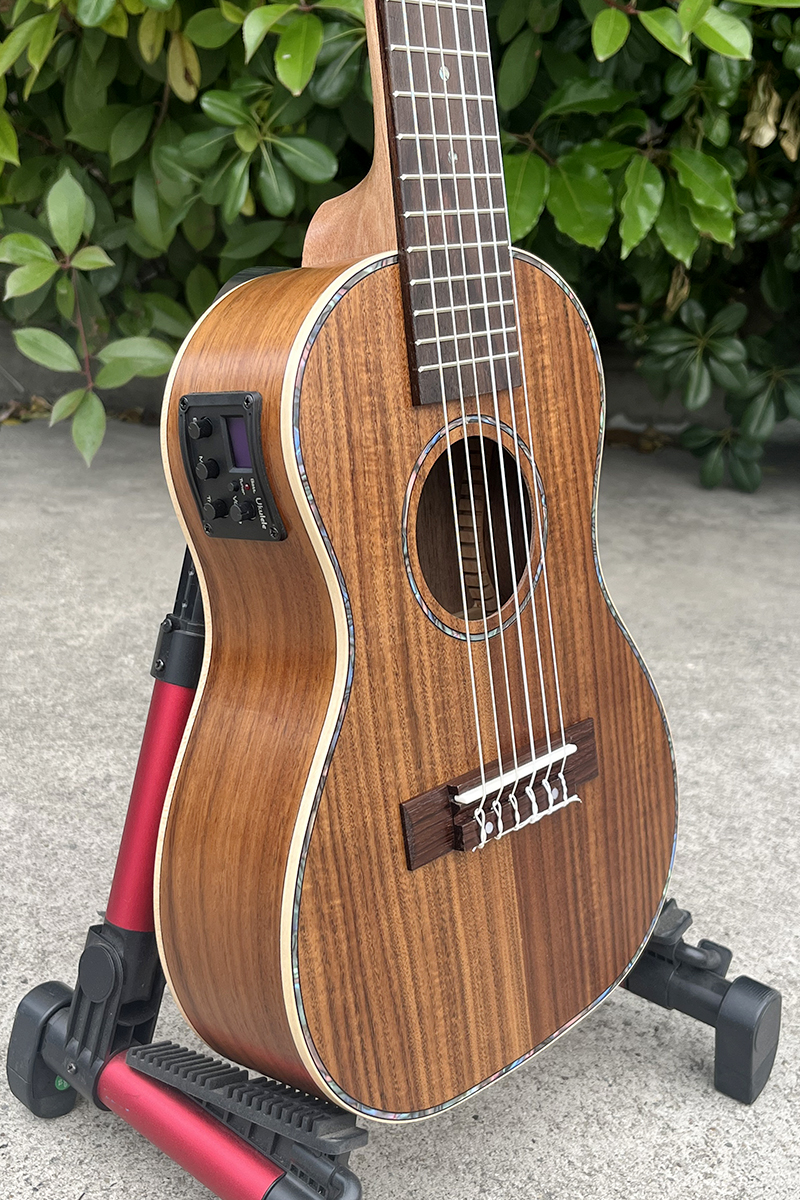 electric guitarlele (5)