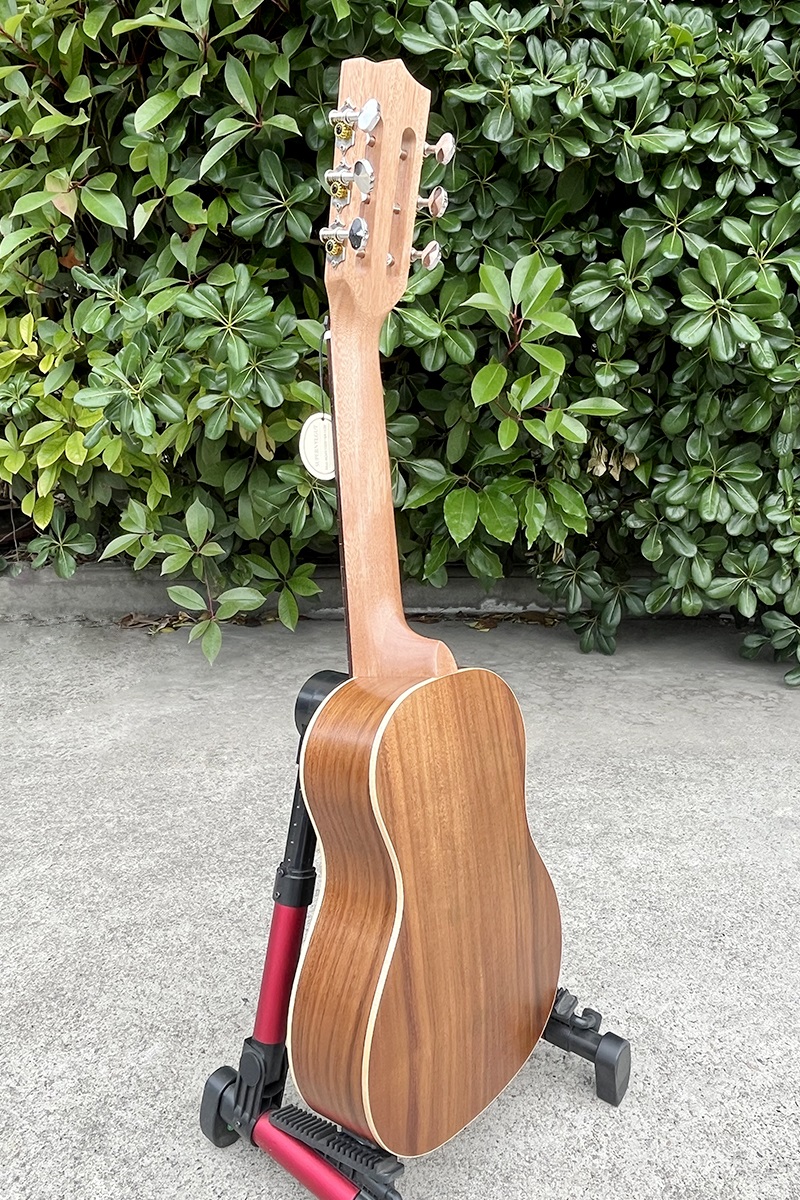 electric guitarlele (6)