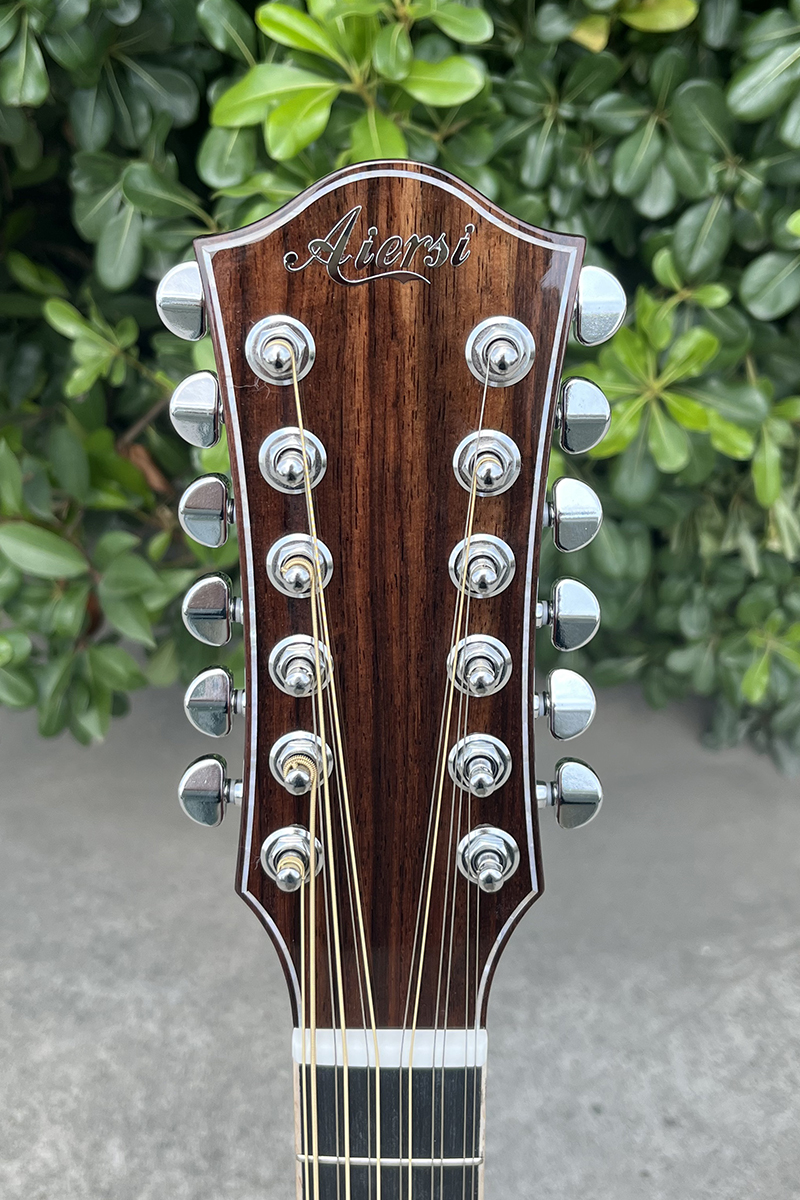 12 string electric acoustic guitar (2)