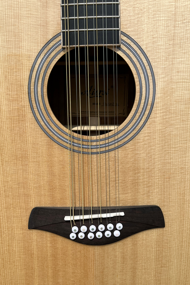 12 string electric acoustic guitar (4)