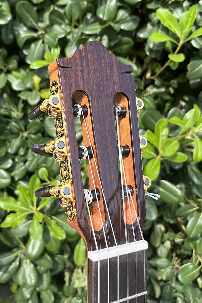 aiersi classical guitar (1)