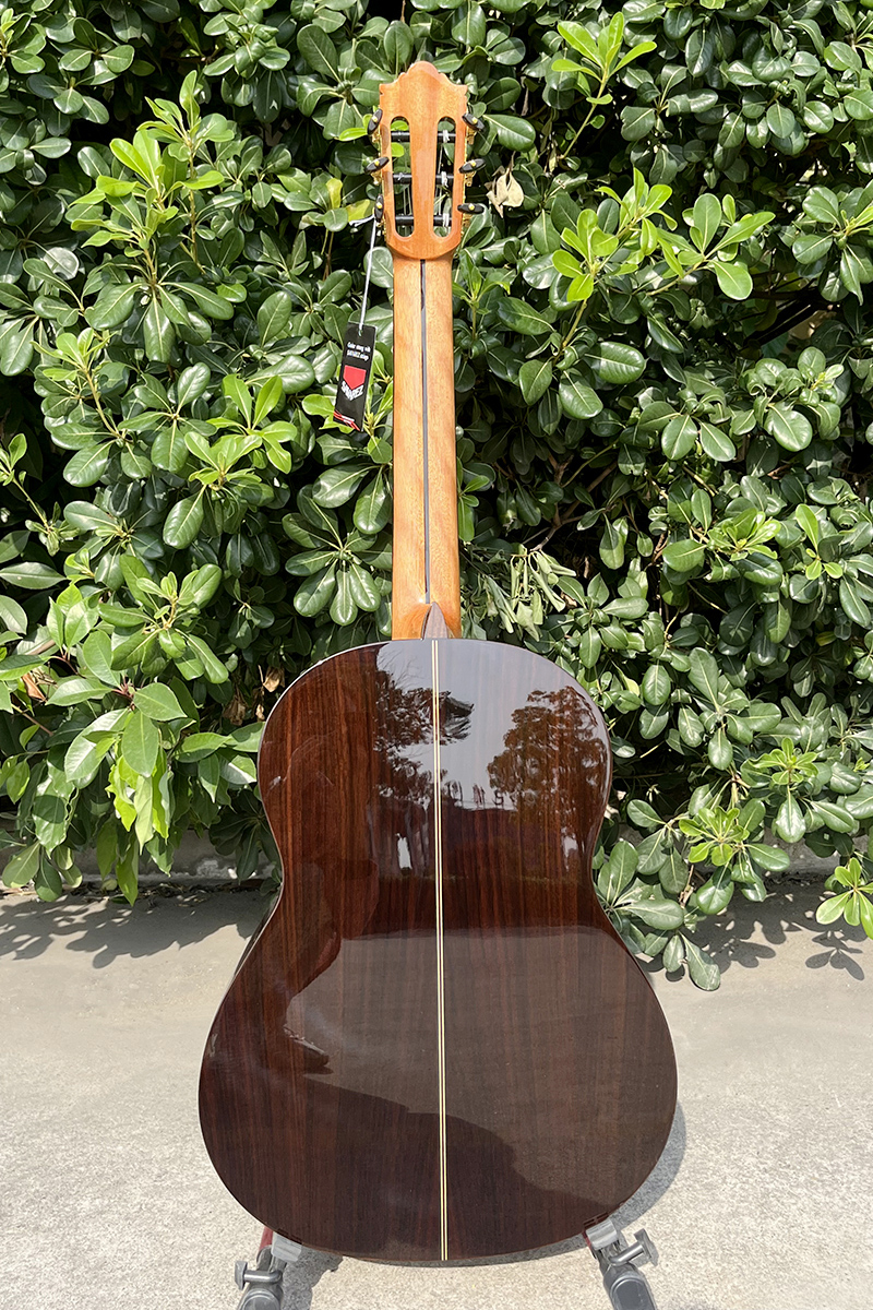 aiersi classical guitar (7)
