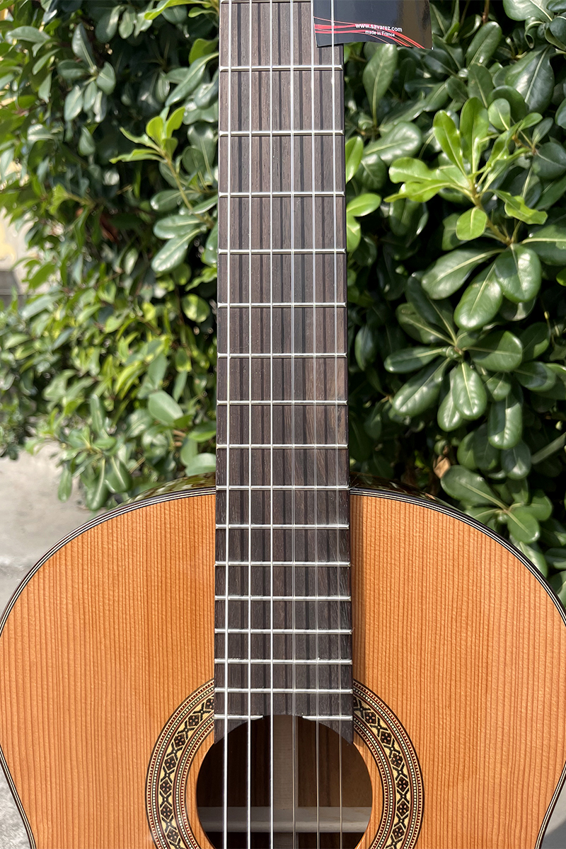 santos guitar armrest (3)