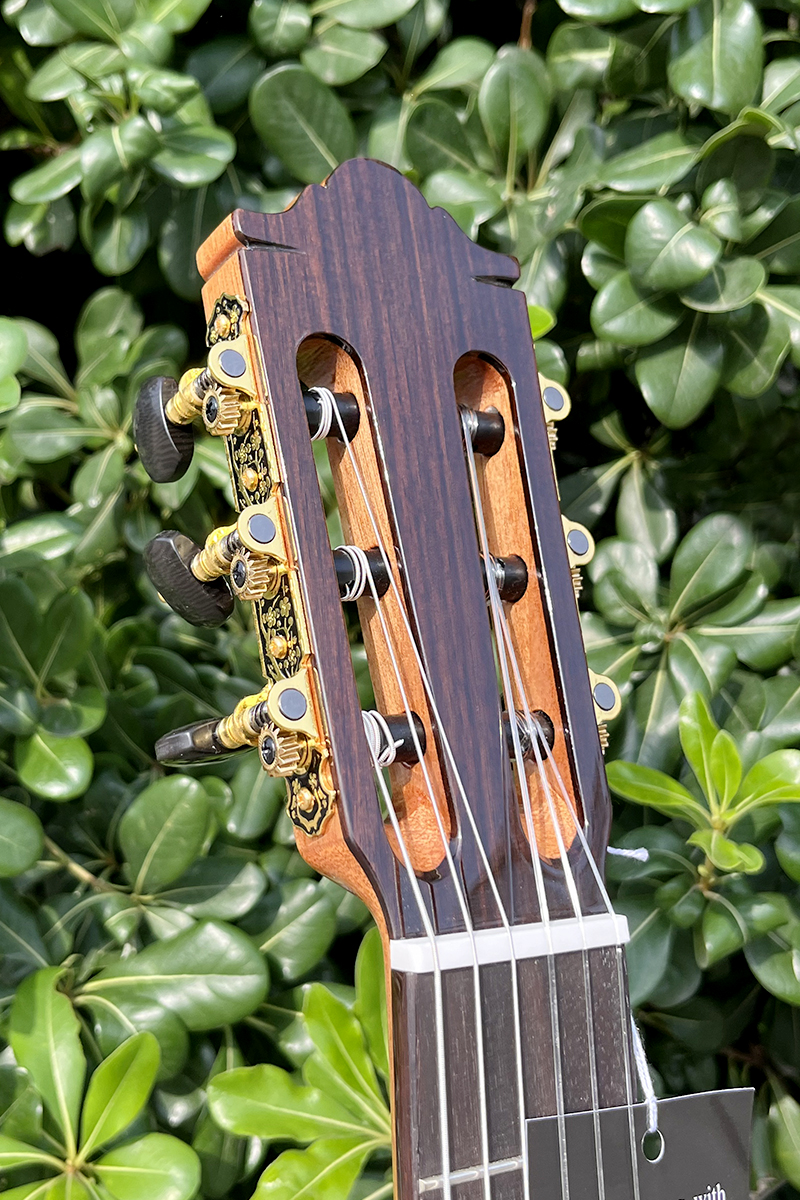 santos guitar armrest (8)