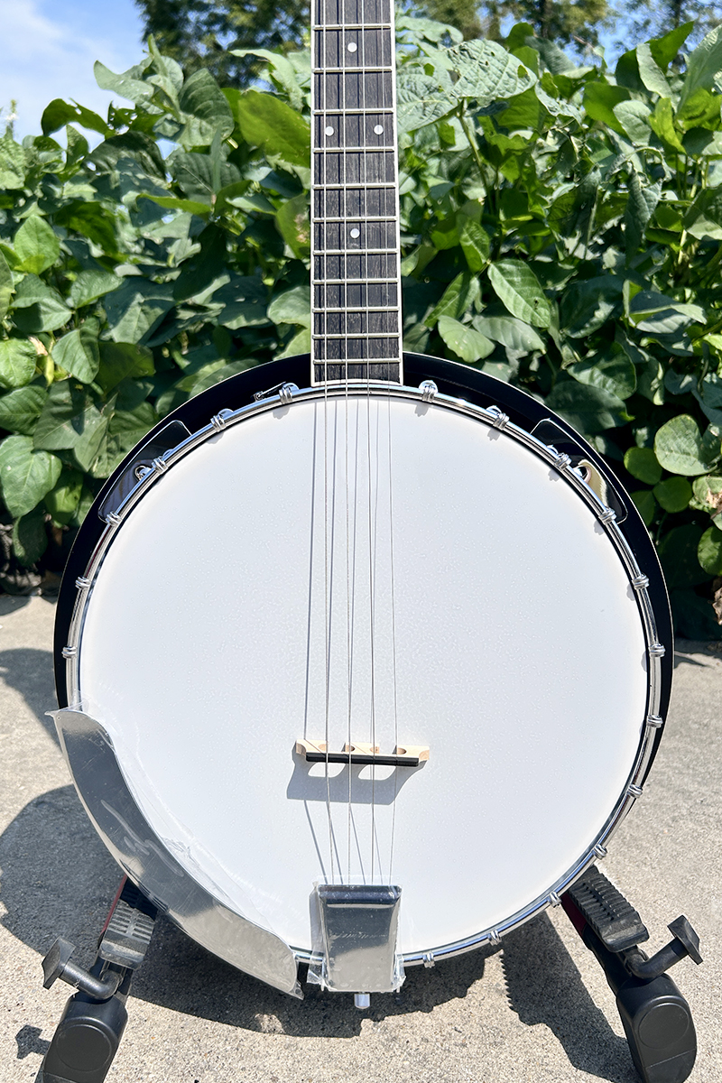 aiersi 4 string banjo (2)