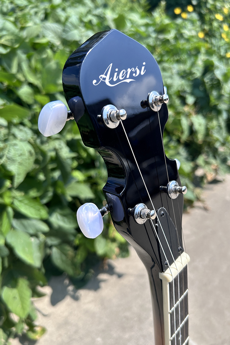 aiersi 4 string banjo (3)