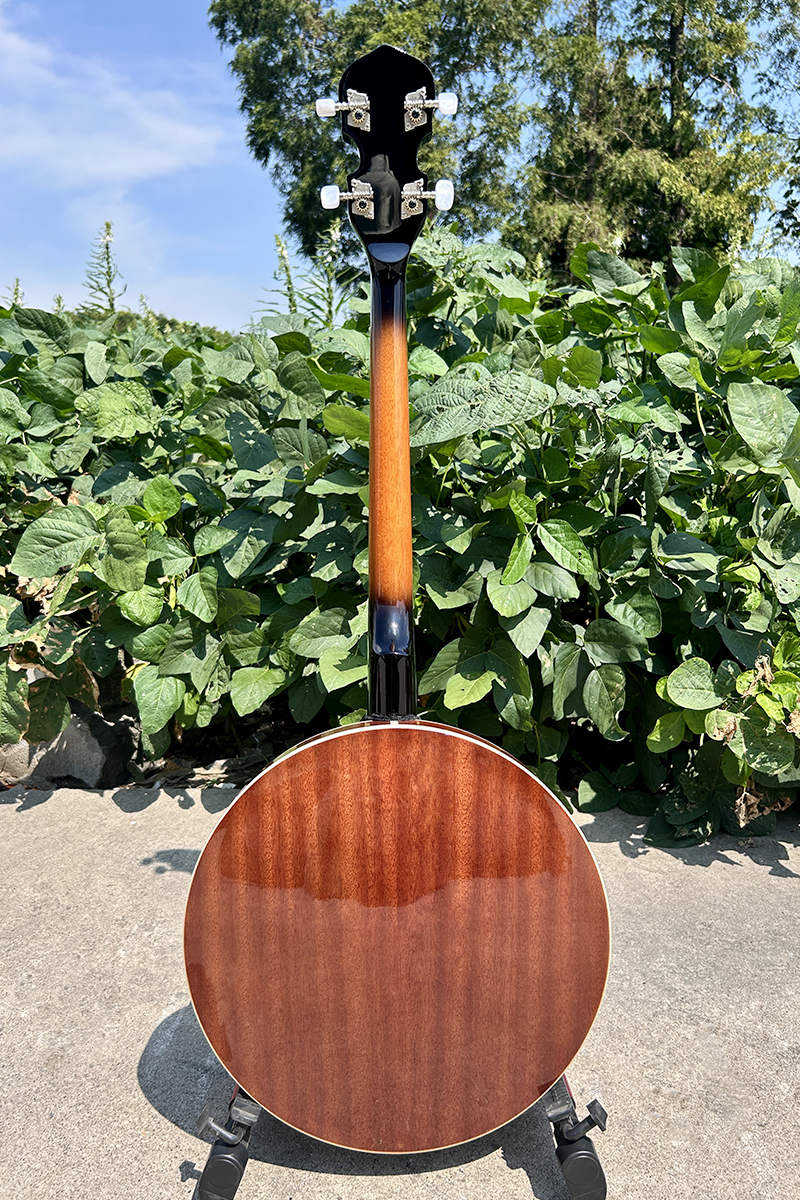 aiersi 4 string banjo (4)
