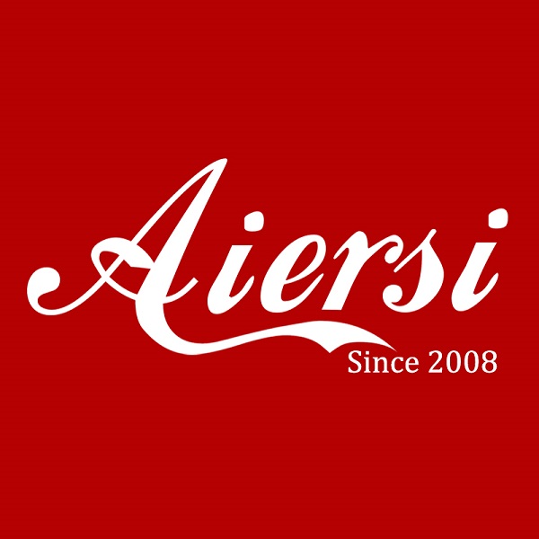 Google AI Overview for Aiersi Brand Guitar
