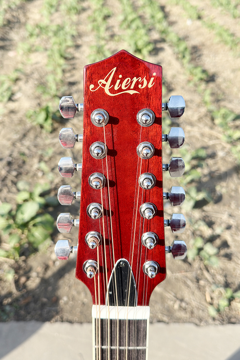 Aiersi red electric 12 string acoustic guitar (2)