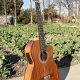 Matt Cutaway Mahogany Electric Classical Guitar