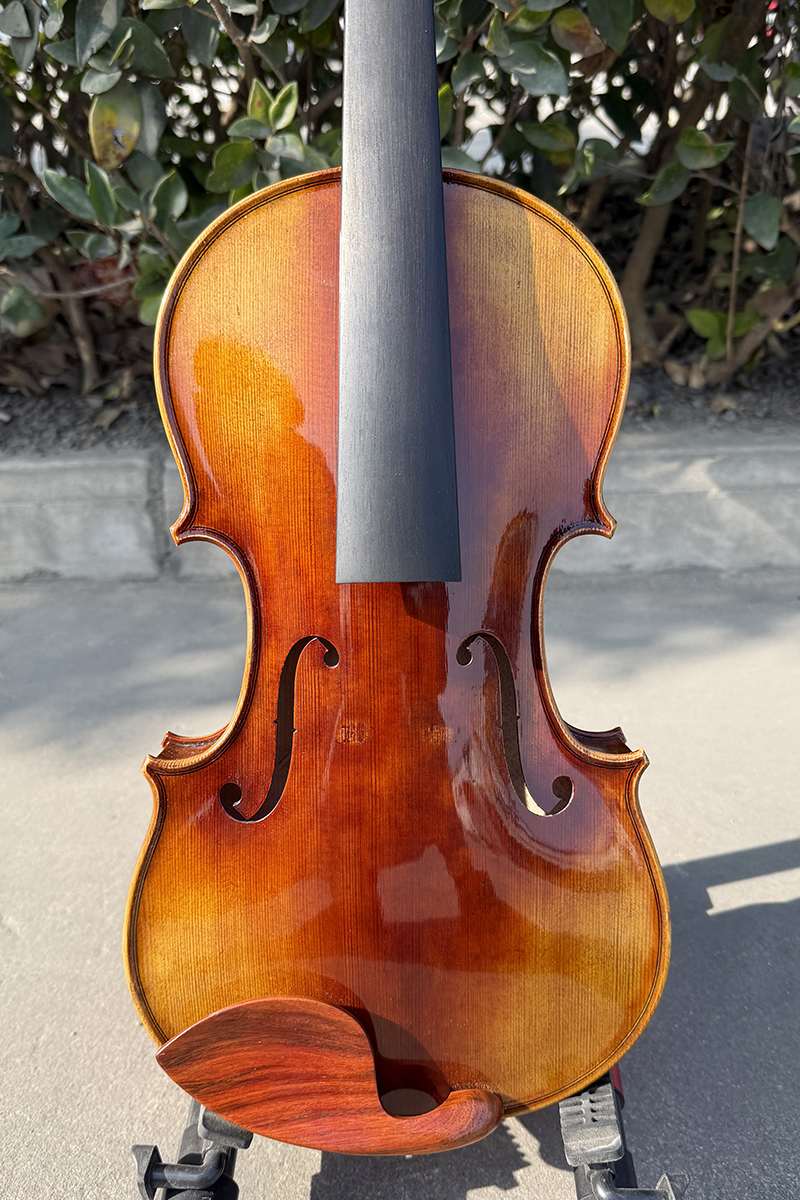 european violin (3)