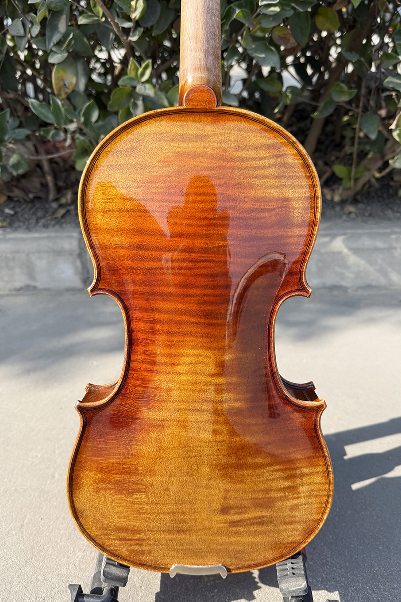 european violin (6)