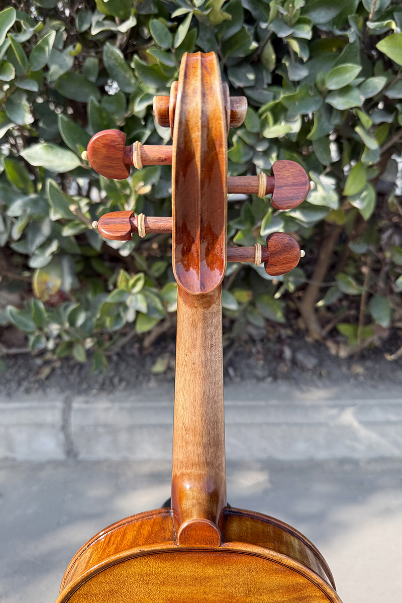 european violin (7)