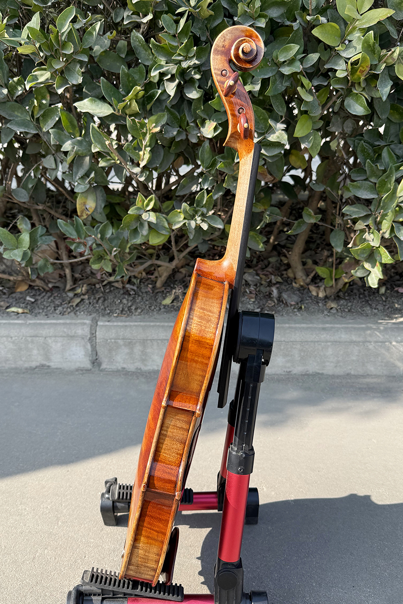 european violin (8)