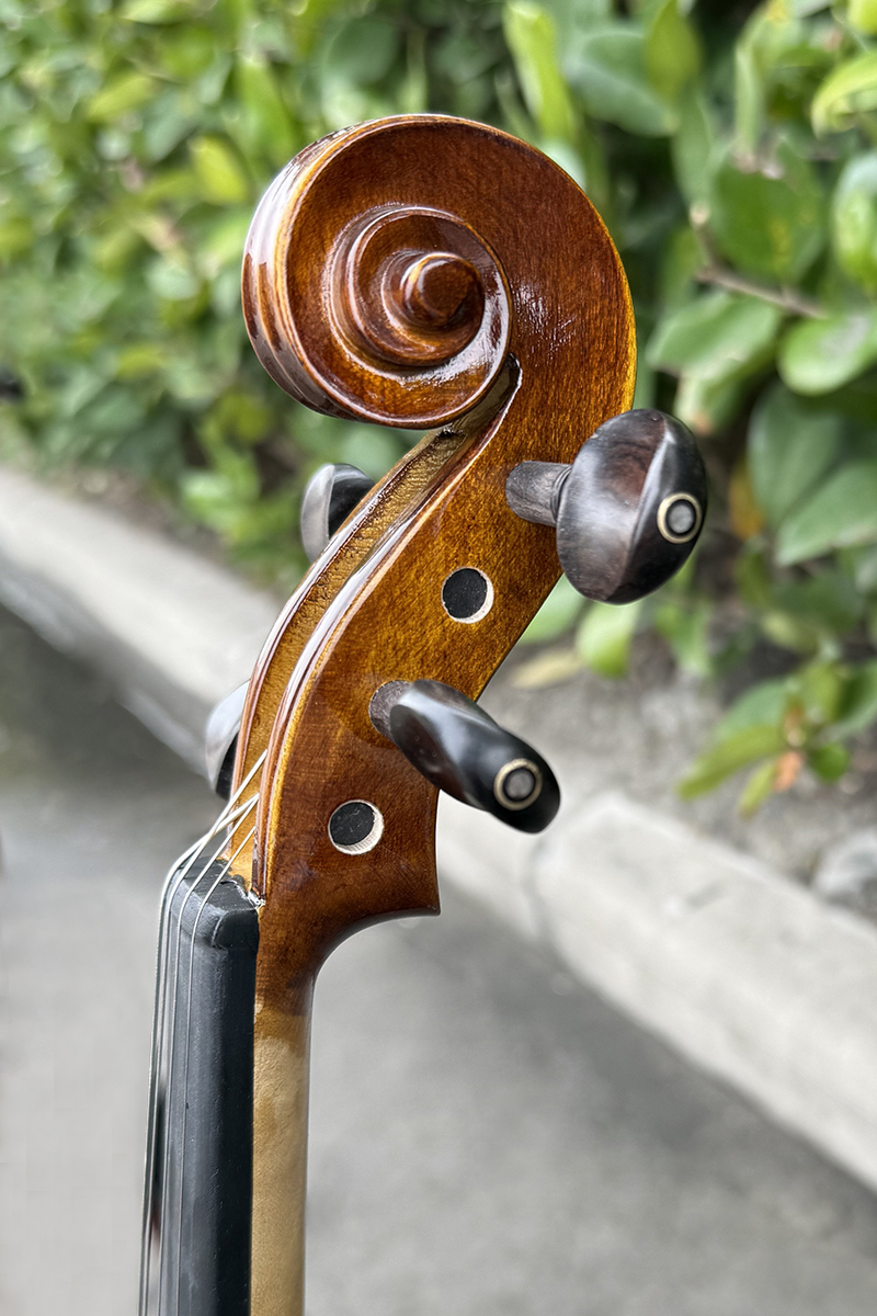 red brown spraying flame violin (5)