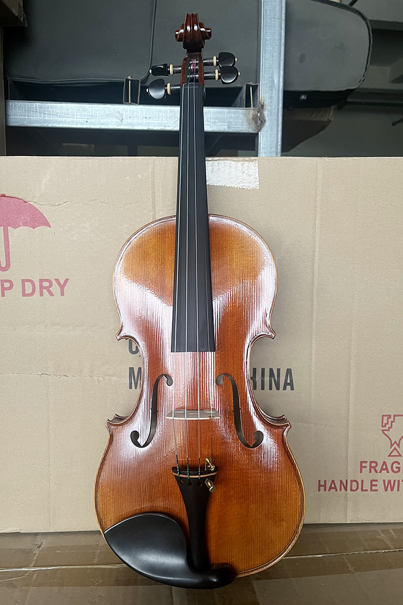 red brown violin HV10 (1)